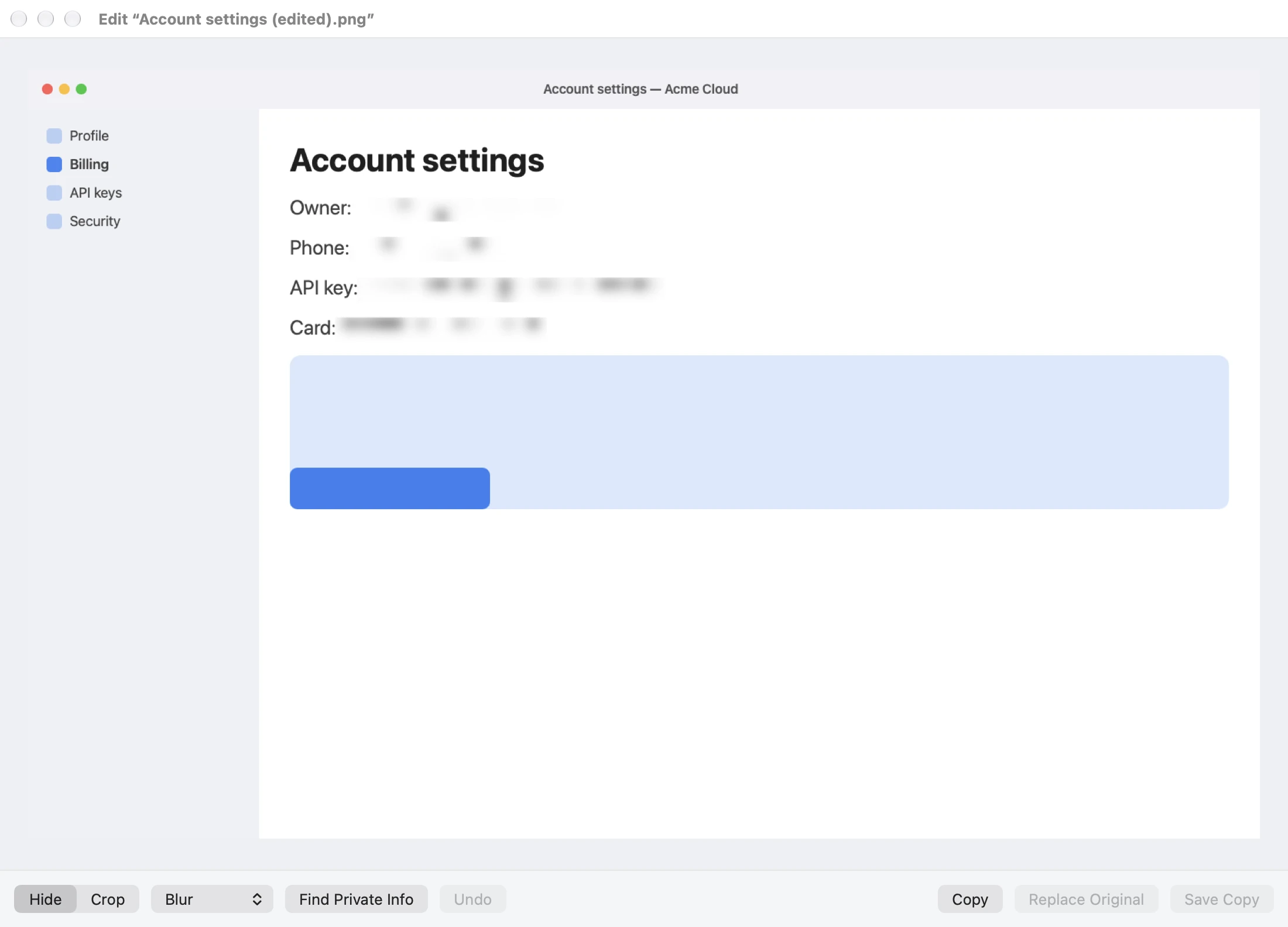 The editor with an account settings page where the owner's email, phone number, API key and card number are blurred